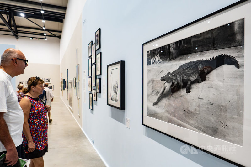 亞爾攝影節「動物模特兒」特展，回望攝影200年來如何形塑人類看待動物的方式：從最早以科學之眼觀察、分析、分類，到人與動物之間的情感關係，無論是愛護、剝削或捍衛。中央社記者李若韻亞爾攝　115年10月7日