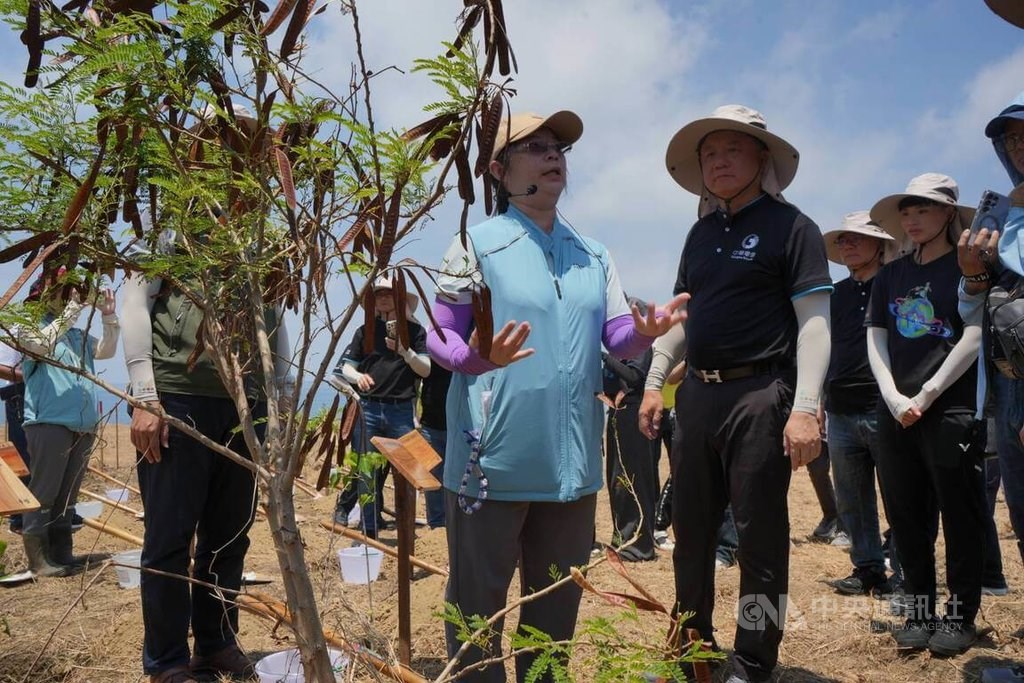 中華電信1日辦理「屏護海岸 復育原生」海岸林復育植樹行動，植樹前展示復育行動中的移除對象、外來入侵種銀合歡，並在解說後現場移除。