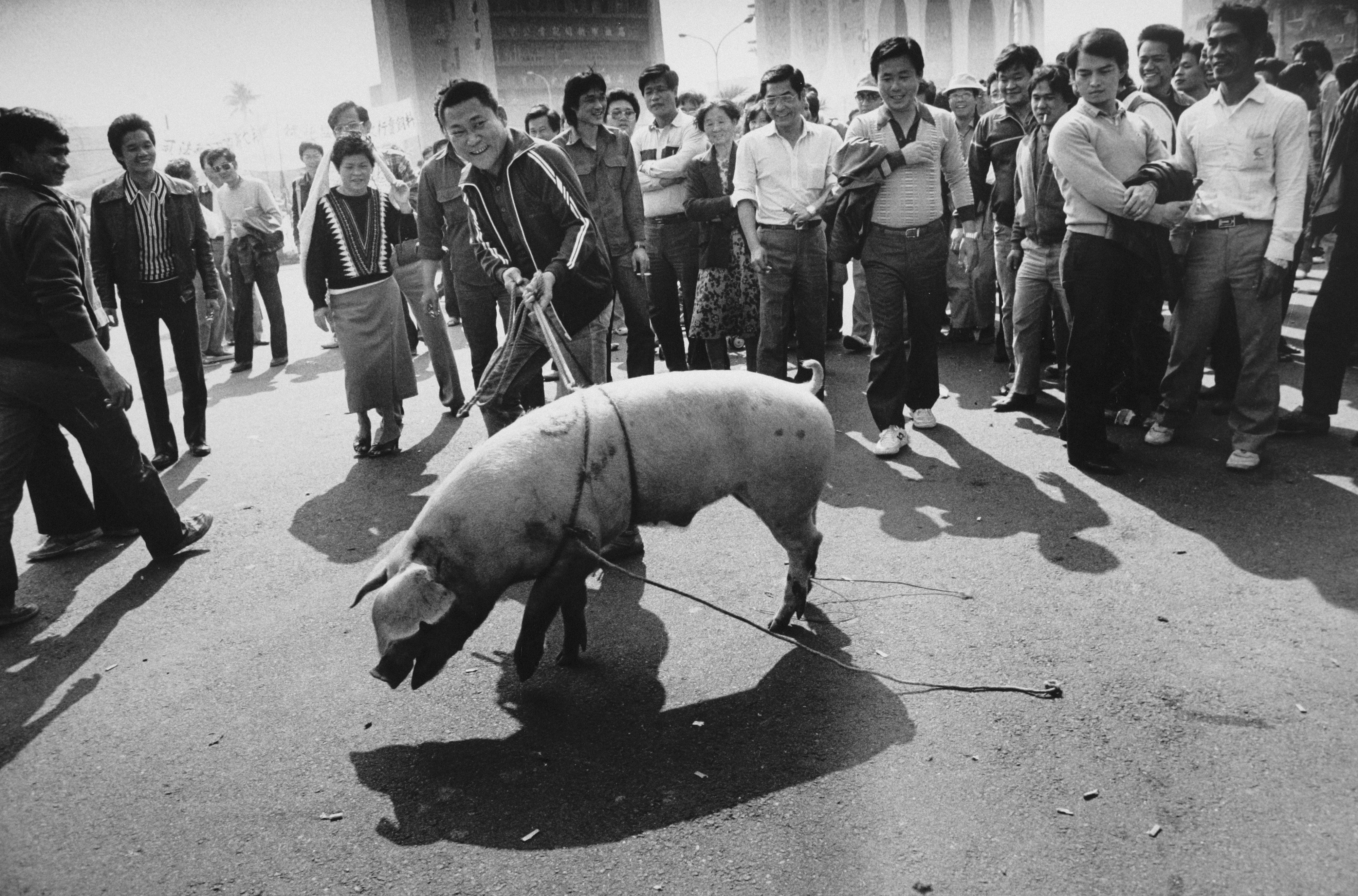 高雄監察委員選舉（劉振祥提供）