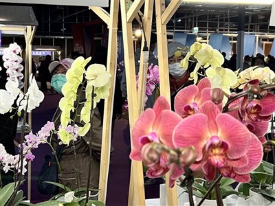 蘭花產業專題