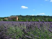 老法拚觀光 軟身段拉陸客