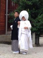 日本婚活多 牛郎當講師