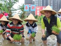 腳踏實地種菜的孩子不一樣