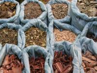 天神的恩賜 南美瑪黛茶