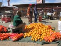 賭命賺錢 南非移民的哀愁