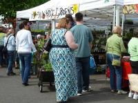 豐滿NO 曲線美YES！