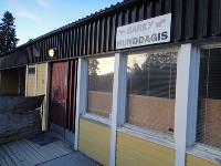 全民寵毛小孩　瑞典少流浪風景