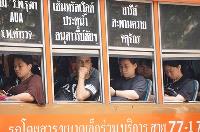 這句不是笑你宅 泰人請你慢慢來