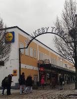 福利之國敞雙臂 移民來問題也來