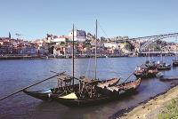 絕代佳麗波圖 遺世之美耐人尋味