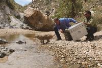 與獸為鄰  來自荒野的不速之客