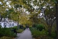 巴黎打造步行城市 貼近在地脈搏的人文散策