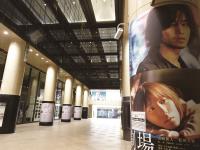 疫情助攻串流平台  戲院料峭春寒猶未盡