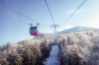 百年名宿千年湯　藏王溫泉的暖暖回憶