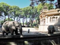 阿根廷關閉動物園後  轉型的漫漫長路