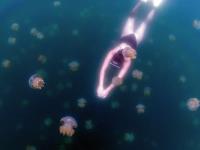 無法忘懷的藍　暢游海洋之國帛琉