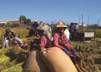 攝影界瘋農村古早味 社區長者成搶手模特兒