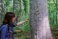 不只國寶犬討喜 秋田古風魅力賽京都