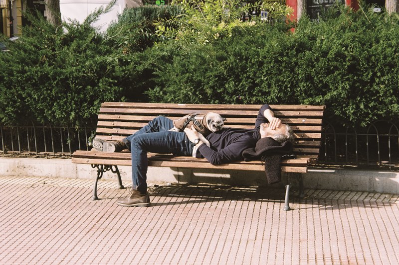 就著西班牙的冬日暖陽，毛孩趴在主人身上，一同在公園長椅上午睡。（Carlos Velasco提供）
