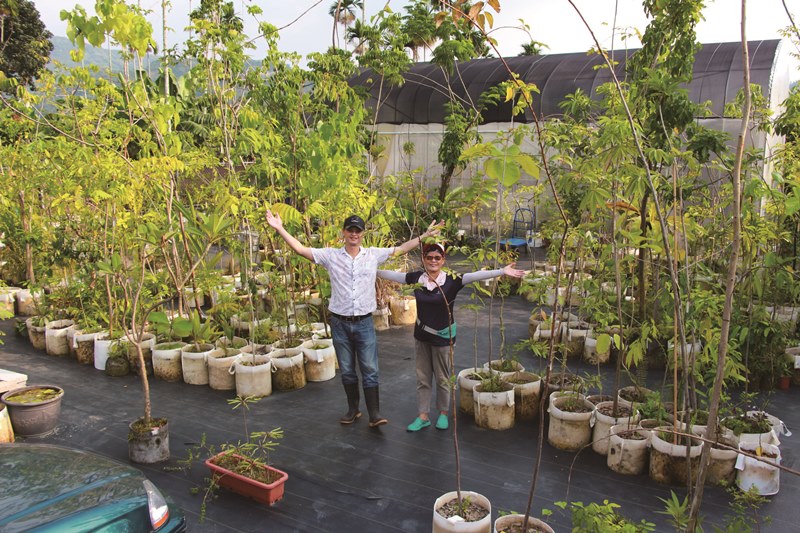 王瑞閔說園區裡的植物就像他的家庭成員，至今已蒐集超過1,300種植物。