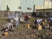 呂赫若的郊野走路