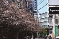 電纜地下化成效不彰  日本坐實電線桿大國