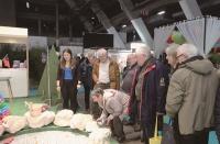 退休金吃掉大筆預算  比利時切香腸改革挨批