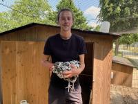 友善飼養官民同心  法國雞蛋高產的祕訣