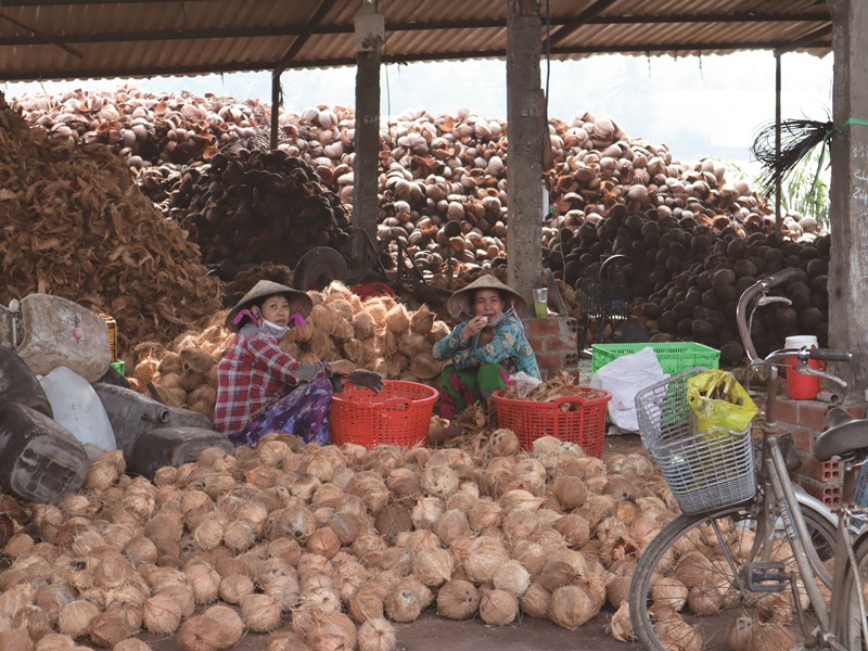 越南並未藉由外資設廠促成產業結構調整，迄今農業人口仍占七成。