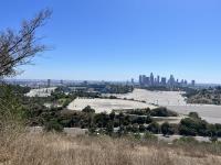 停車位太多反成大麻煩  美國「柏油海洋」種苦果