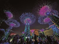 免費魔力無所不在 新加坡竭力討好觀光客