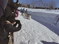 疫後旅遊潮大爆發 高團費澆不熄出國熱