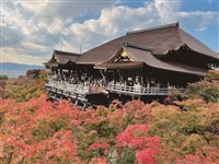 最和風的文化地標 千年京都歷久彌新