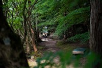 日本岡山森林藝術祭    藏身自然人文景點的展會