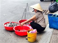 一杯小資風情台灣珍奶  一張越南經濟晴雨表
