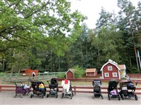 阿公阿嬤帶金孫有錢拿  瑞典育嬰福利全球第一  