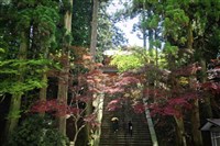 行旅琵琶湖之都大津    禪風古寺別有動感體驗