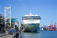 大海上的美食天堂 撫慰味蕾的郵輪之旅