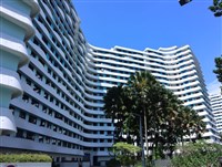 移民新加坡背後的現實    三種身分待遇天壤之別