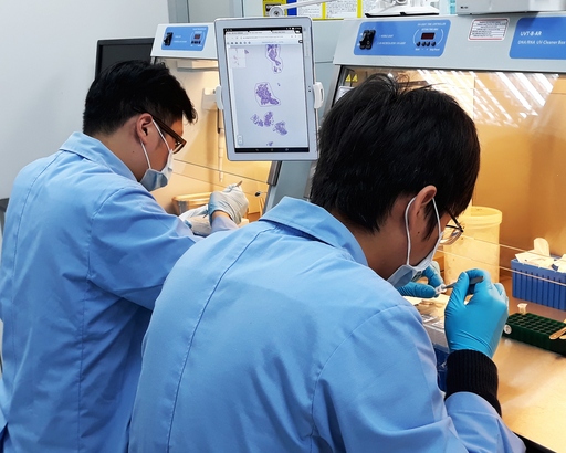 圖說: 實驗室人員使用特殊放大鏡輔助刮取(Macrodissection)的方式處理癌症組織周圍常伴隨的正常組織。行動基因/提供