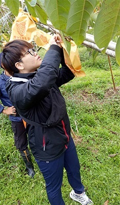 龍華科大原動力社團同學,寒假時間返鄉前往台東縣原民部落,協助課輔並體驗農作樂趣。