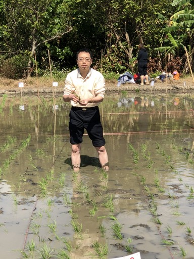 農業信用保證基金副總張基長下田插秧,」,感受農務工作的辛勞之外,並鼓勵年輕人投入農業。