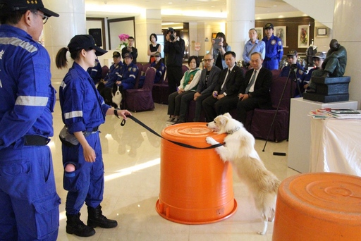 台灣精英國際搜救協會搜救犬示範搜索受困民眾