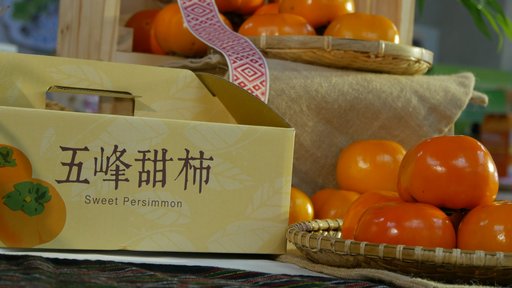 身為甜柿節系列活動之一,雪霸森林超馬會場將設有10攤甜柿專攤,歡迎到攤位品嚐五峰甜柿。(照片來源:五峰鄉甜柿節FB粉絲專頁)