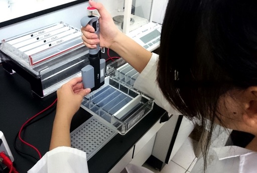 藉由分子檢測可快速且低成本地確認種子雜交純度與品種