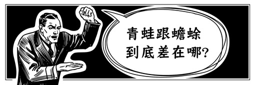 蛙蛙狂想曲首頁圖片