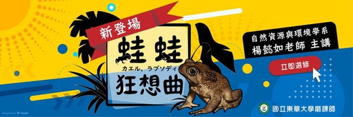 蛙蛙狂想曲首頁圖片