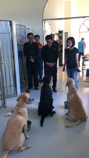 狗年歲末,台東縣黃健庭前縣長賢伉儷為搜救犬們帶來驚喜