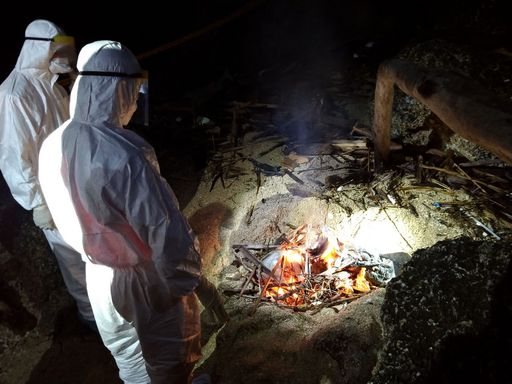 不良養豬業者隨意丟棄死廢畜-危害養豬產業