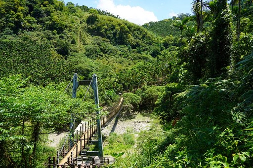 小天梯情人橋